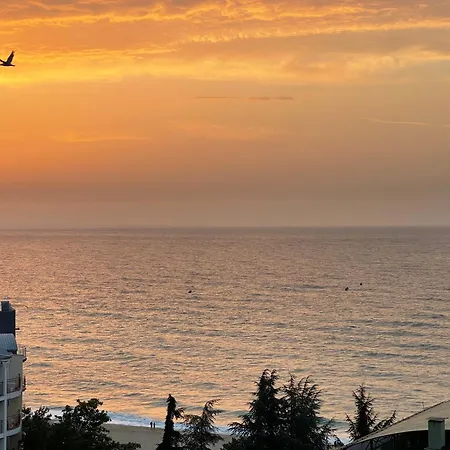 Spacious Seaview Apartments, 100m To The